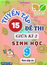 Tuyển tập 15 Đề thi giữa Kì 2 môn Sinh Học 9 sách Kết Nối Tri Thức (Kèm đáp án)